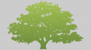 English Insurance Grou