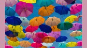 Napa Valley Insurance Services